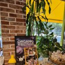 구스베이커리 | 계룡카페 감나무 뷰가 예쁜 대형 베이커리 카페 , 구스브레드, 김복남맥주