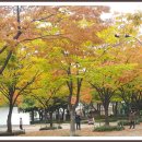 시계탑 광장 이미지