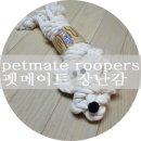 펫메이트(주) 이미지