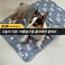 [영메티칼바이오]여름필수템 폴라베어 쿨매트 사용 후기 !