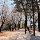 염광유치원 | 노원구청 객원리포터 활동으로 초안산 수국동산 다녀왔어요!-텐션 리포터 김수현