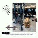 유온핏 휘트니스 신영통점 | 반월동 헬스장 유온핏 휘트니스 신영통점 방문후기 시설 엄청좋더라고요