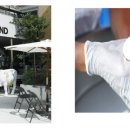 헤이라이프 이미지