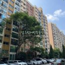 압구정-107 이미지