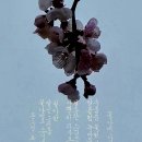 나비사랑 이미지