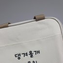 댕겨올개 이미지