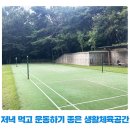 철산배수펌프장 체육시설 | 저녁 먹고 운동하기 좋은 생활체육공간! 양지사거리 체육공원&amp;사성공원