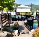 카페리수상레저
