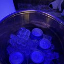 지중해노래연습장 이미지