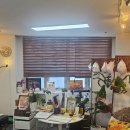 척추자세교정걷기테라피 | [서초자세교정 후기] 루나척추테라피, 몸도 마음도 정돈되는 시간