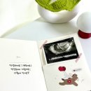 주식회사 제이씨에프앤오 | 말랑하니 하이박스맘 3차 신청방법(~3.31) / 임신축하박스