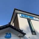 헬로우버디 | 선생님표 픽드랍으로 안심되는 판교애견유치원 헬로우버디 솔직 후기