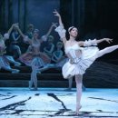 국립발레단 해설이 있는 전막발레 <돈키호테> 이미지