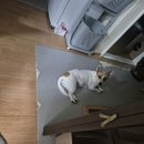 둔촌대로52번길 이미지