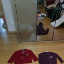 리틀윌링스 이미지