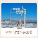 뽀빠이 로컬푸드 | 강원도 겨울여행 평창 삼양라운드힐 할인 꿀팁