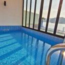 파레사애견풀빌라 이미지