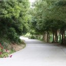 두륜산자락펜션
