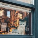 수락동물병원 이미지