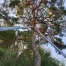 내호곡경로당 이미지