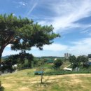 정철희 국제승마센터 이미지