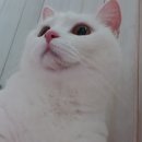 하일룽펜션 이미지