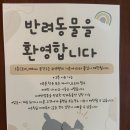 토터스 | 생활의달인 맛집 | 해방촌 카페 '토터스' | 모찌 수플레 내돈내산 후기
