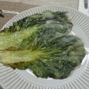 (경기)도담도담산후도우미 파주 | 도담도담 산후도우미 이용 후기