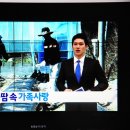 영서농장 Daum카페