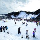 엘리시안 강촌 스키장 이미지