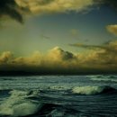 공존행정사사무소 이미지