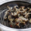 강화자연휴양림 이미지