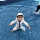 윗골 Daum카페