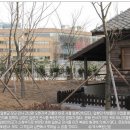 일본군관사 Daum카페