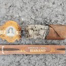 BRONZE(브론즈) 이미지