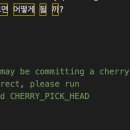 체리픽cherry-pick