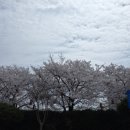 죽림옻칠공예 - 남원시 산책길 8 | 죽림옻칠공예