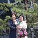 영우 이미지