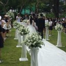 동조장식