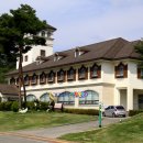 지정환임실치즈피자 이미지