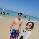 그곳에 가면 행복 두 배 | 몰레톤 아일랜드 기항지 투어 후기｜카니발 스플렌더 난파선 스노쿨링 &amp; 해변 힐링 여행