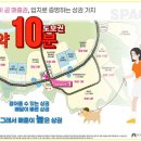 신동사거리 이미지