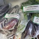 다온영농조합법인 새거제신문