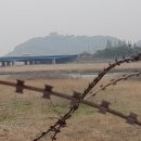 체육관사거리 이미지