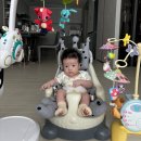 유호체육관 이미지