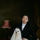 진이 이미지