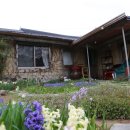 박동농장 이미지