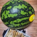 민생회복 소비쿠폰 이미지