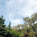임신 20주-22주 증상과 일상 @정밀초음파 검사