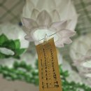 울엄마 영가등 달아 줬어요 이미지